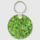 Search for lush key rings Background