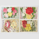 Search for flower seed packets Rose
