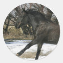 Search for wild mustang stickers Equestrian