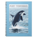 Search for orca notebooks Original
