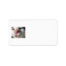 Search for kitty return address labels Adorable
