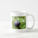 Search for blueberry fruit mugs Forest