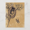 Search for vintage bird illustration postcards Owl