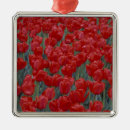 Search for bed christmas tree decorations Plant