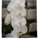 Search for orchid shower curtains Garden