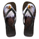 Search for eagles shoes Bald eagle