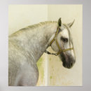 Search for dapple grey horse posters Mare