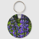 Search for lupine key rings Flower