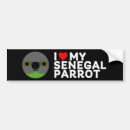 Search for parrot face bumper stickers Pet