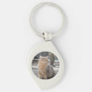 Search for shorthaired key rings Pet