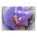 Search for centre fold Purple