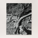 Search for black and white tree puzzles Nature