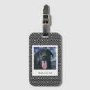 Search for pet luggage tags Unique