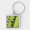 Search for diagonal key rings Green