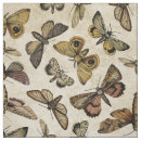 Search for bugs fabric Moth