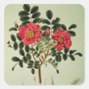 Search for flora stickers Rose