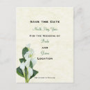 Search for calla lilly Flower
