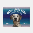 Search for dalmatian doormats Pets