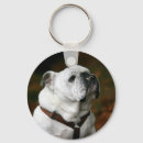 Search for bullies key rings Pets