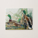 Search for audubon birds puzzles Birds of america