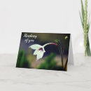 Search for gladiolus flowers cards Garden