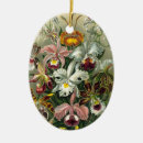 Search for orchid christmas tree decorations Flower