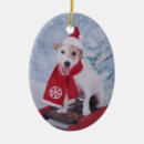 Search for jack russel terrier christmas tree decorations Pet