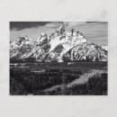 Search for snake river postcards Mountain