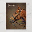 Search for the bay postcards Animal
