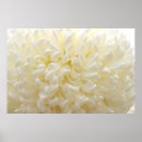 Search for purity art Summer