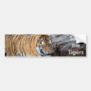 Search for white tigers bumper stickers Conservation