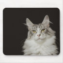 Search for coons mousepads Nature