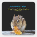 Search for camping stickers Fun
