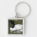 Search for black swan key rings Nature