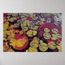 Search for lillies posters Water