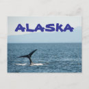 Search for whale postcards Alaska