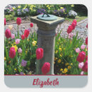 Search for purple tulip stickers Colourful