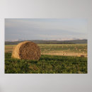 Search for bale posters Agriculture