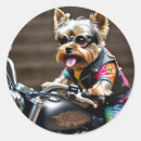 Search for yorkie stickers Cute