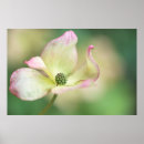 Search for flowerbed art Garden