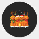 Search for dog store stickers Holiday discount codes