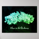 Search for glow in the dark posters Green