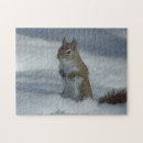 Search for red squirrel puzzles Wildlife