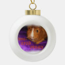 Search for piggy christmas tree decorations Animal