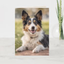 Search for aussie birthday cards Dog