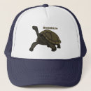 Search for tortoise hats Turtle