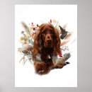 Search for irish setter posters Hunting dog