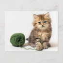 Search for kitten with yarn postcards Baby animals