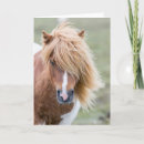 Search for mane cards Pony