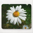 Search for shasta electronics Flower